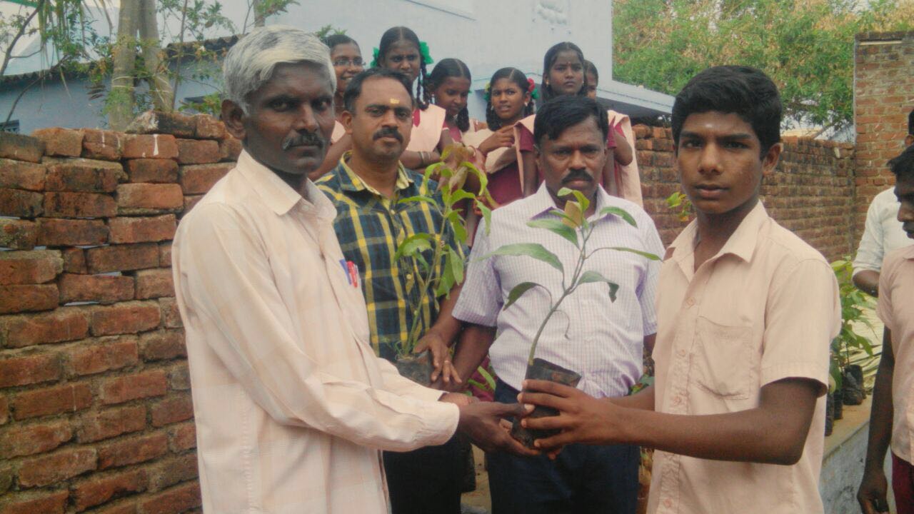 Plantation, Govt Middle School, Mylappapuram, Tirunelveli Dist.