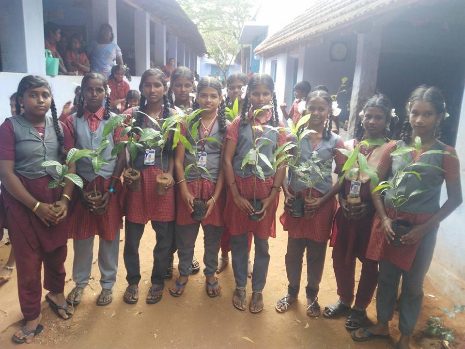 Plantation, Sivasailanatha Middle School, Achanpudur, Tenkasi Dist.