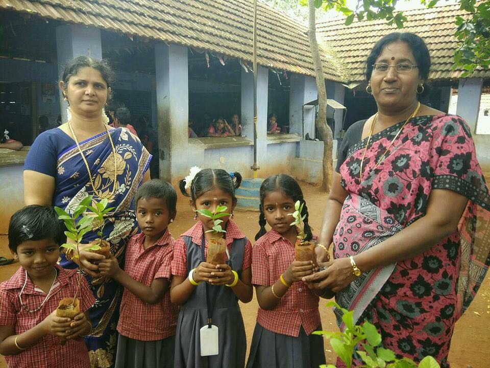 Plantation, Sivasailanatha Middle School, Achanpudur, Tenkasi Dist.