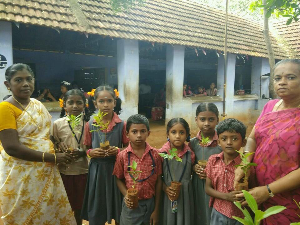 Plantation, Sivasailanatha Middle School, Achanpudur, Tenkasi Dist.