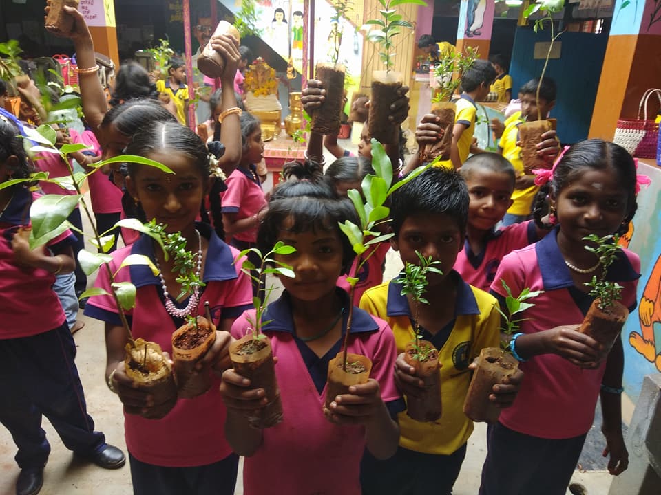 Plantation, Thirunavukkarasu Middle School, Krishnapuram, Tenkasi Dist.