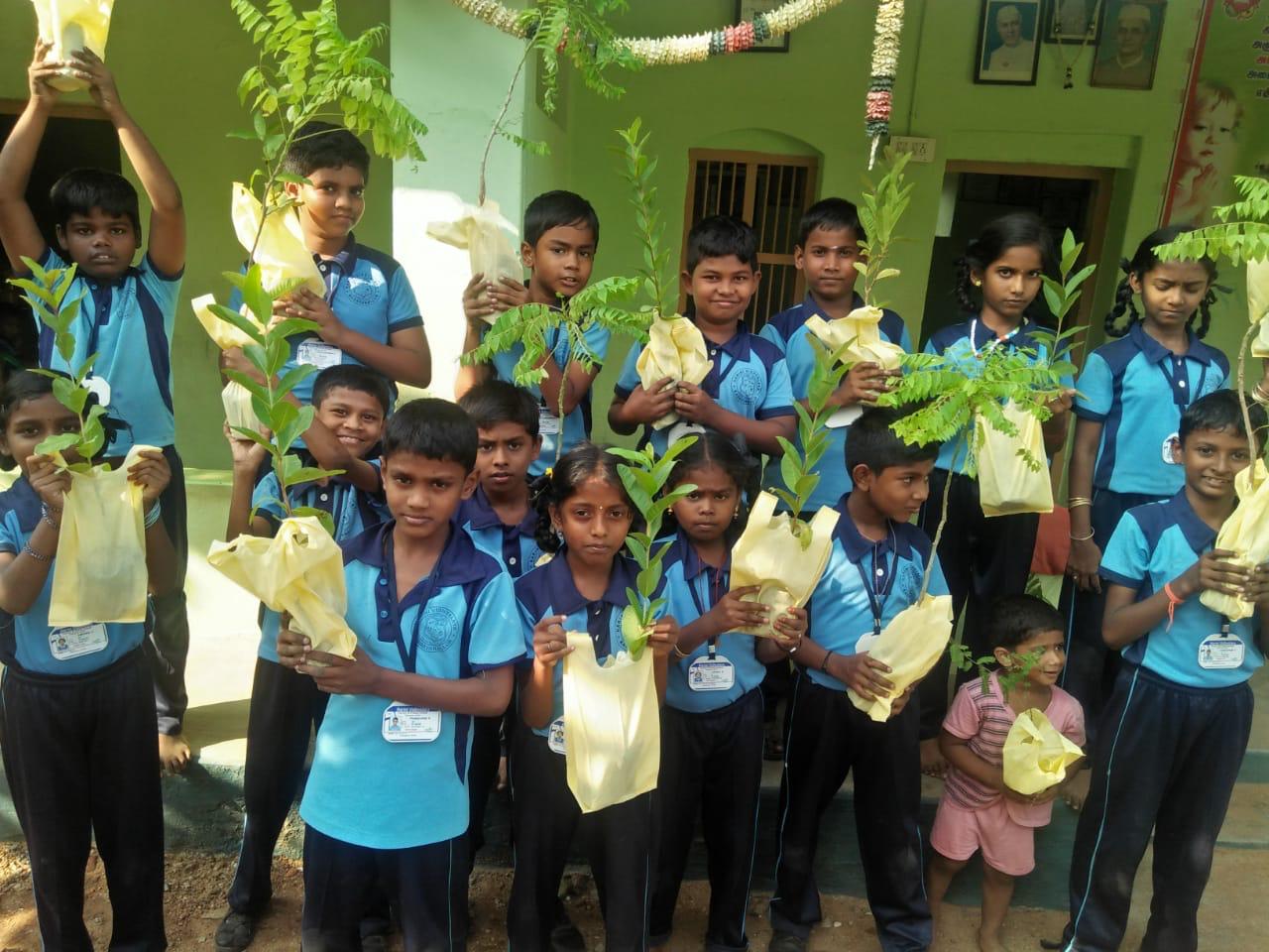 Plantation, Harini Vidyalaya Primary School, Krishnapuram, Tenkasi Dist.