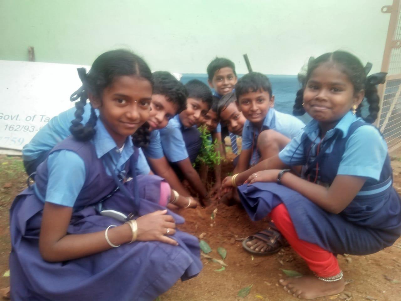 Plantation, Harini Vidyalaya Primary School, Krishnapuram, Tenkasi Dist.