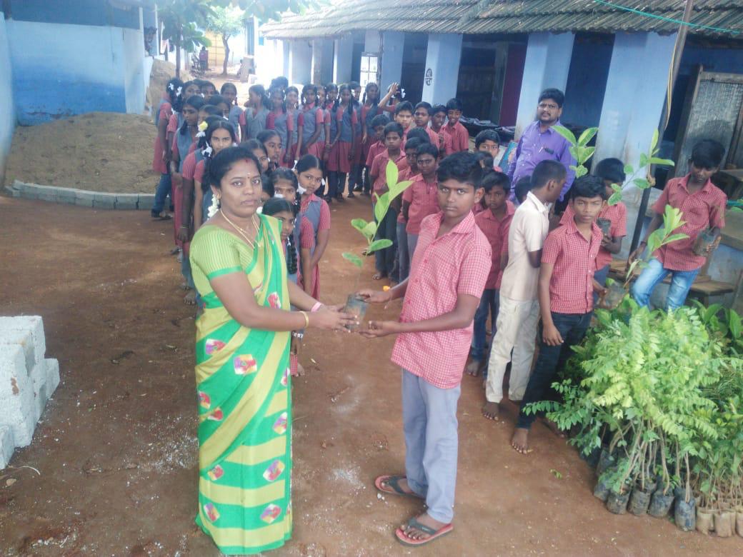 Plantation, Sivasailanatha Middle School, Achanpudur, Tenkasi Dist.