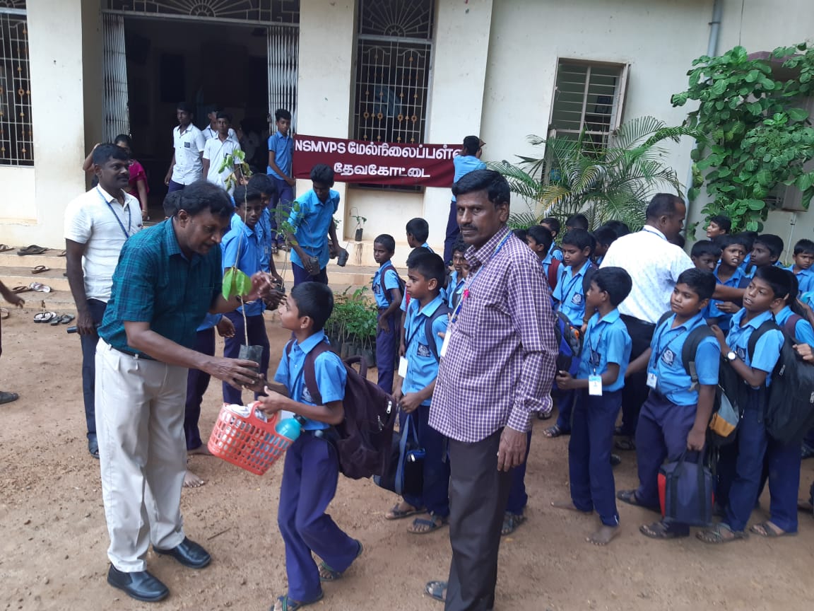 Plantation, NSMVPS Hr Sec School, Devakottai, Sivagangai Dist.