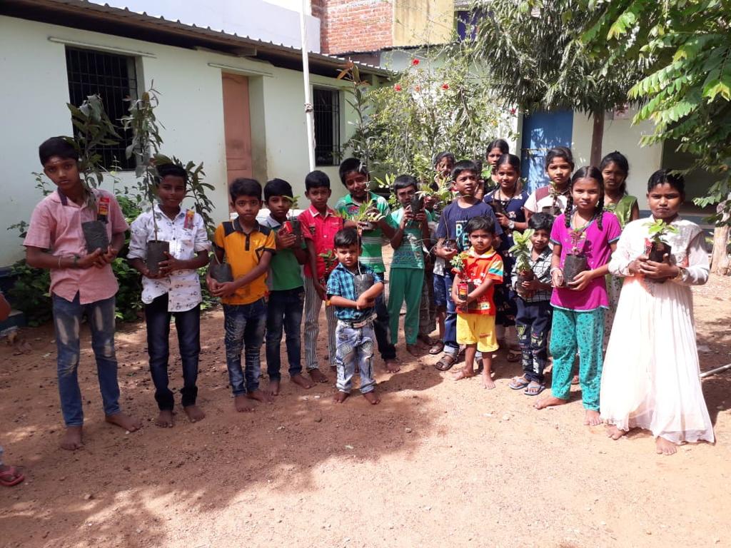 Plantation, Harini Vidyalaya Primary School, Krishnapuram, Tenkasi Dist.