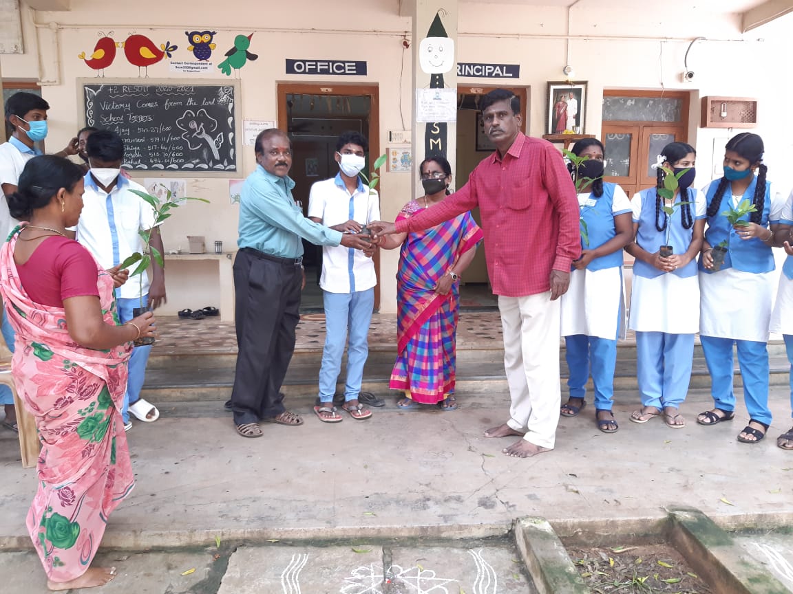 Plantation, Vairam Group Matriculation School, Devakottai, Sivagangai Dist.