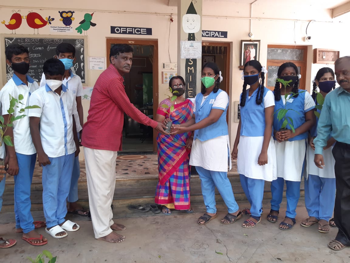 Plantation, Vairam Group Matriculation School, Devakottai, Sivagangai Dist.