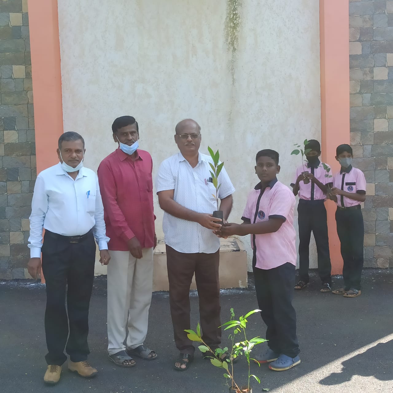 Plantation, De Britto Hr Sec School, Devakottai, Sivagangai Dist.