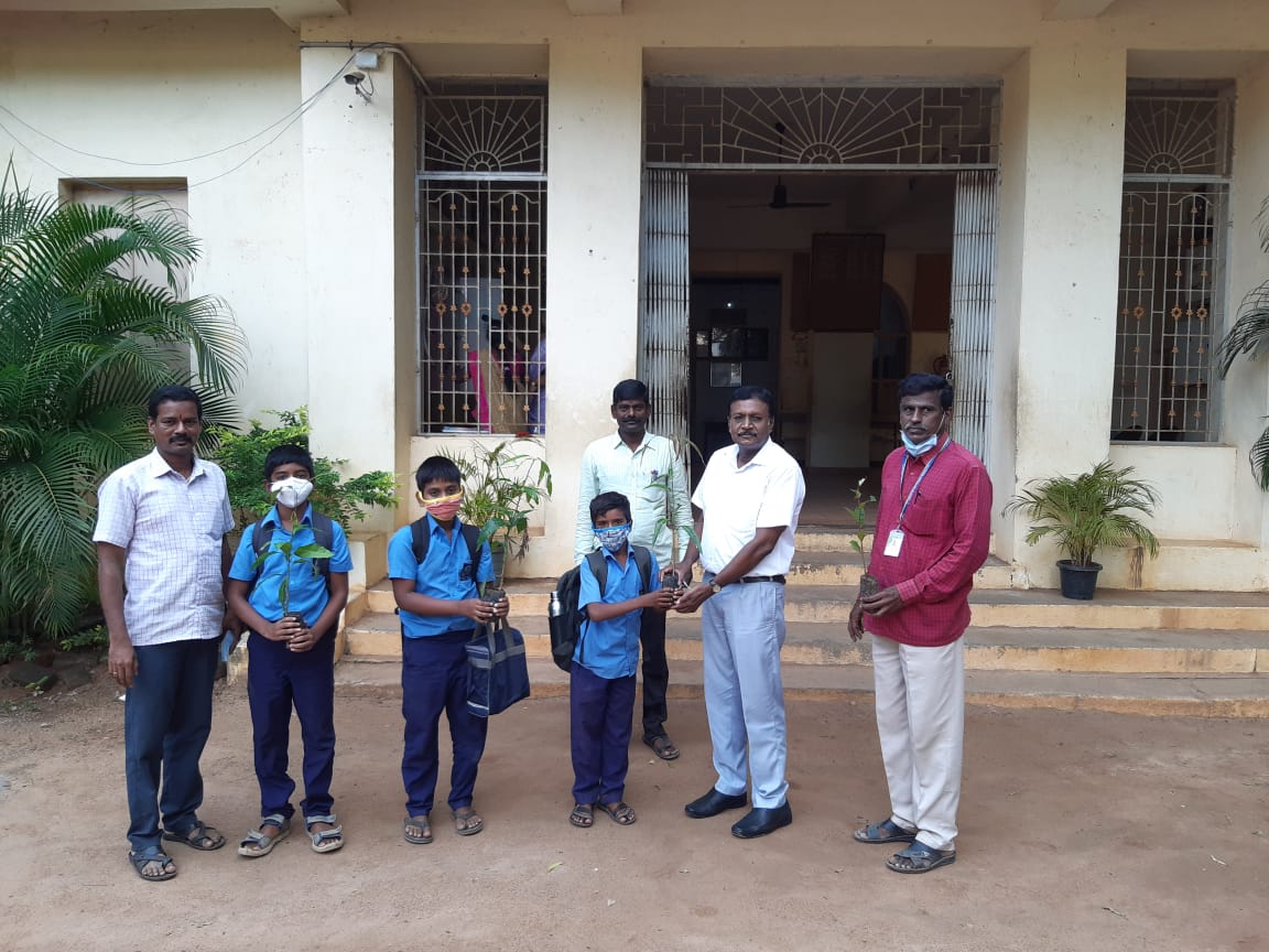 Plantation, NSMVPS Hr Sec School, Devakottai, Sivagangai Dist.