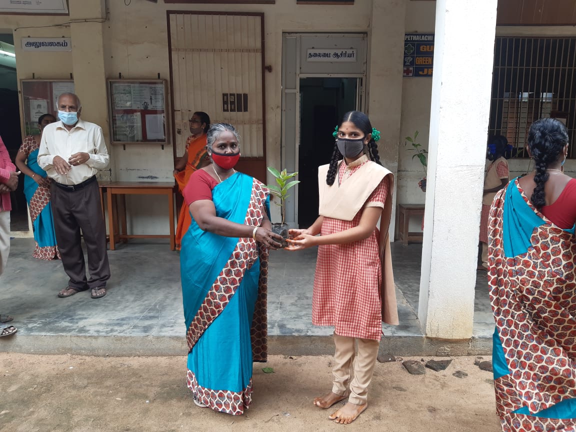 Plantation, Pethal Aachi Girls Hr Sec School, Devakottai, Sivagangai Dist.