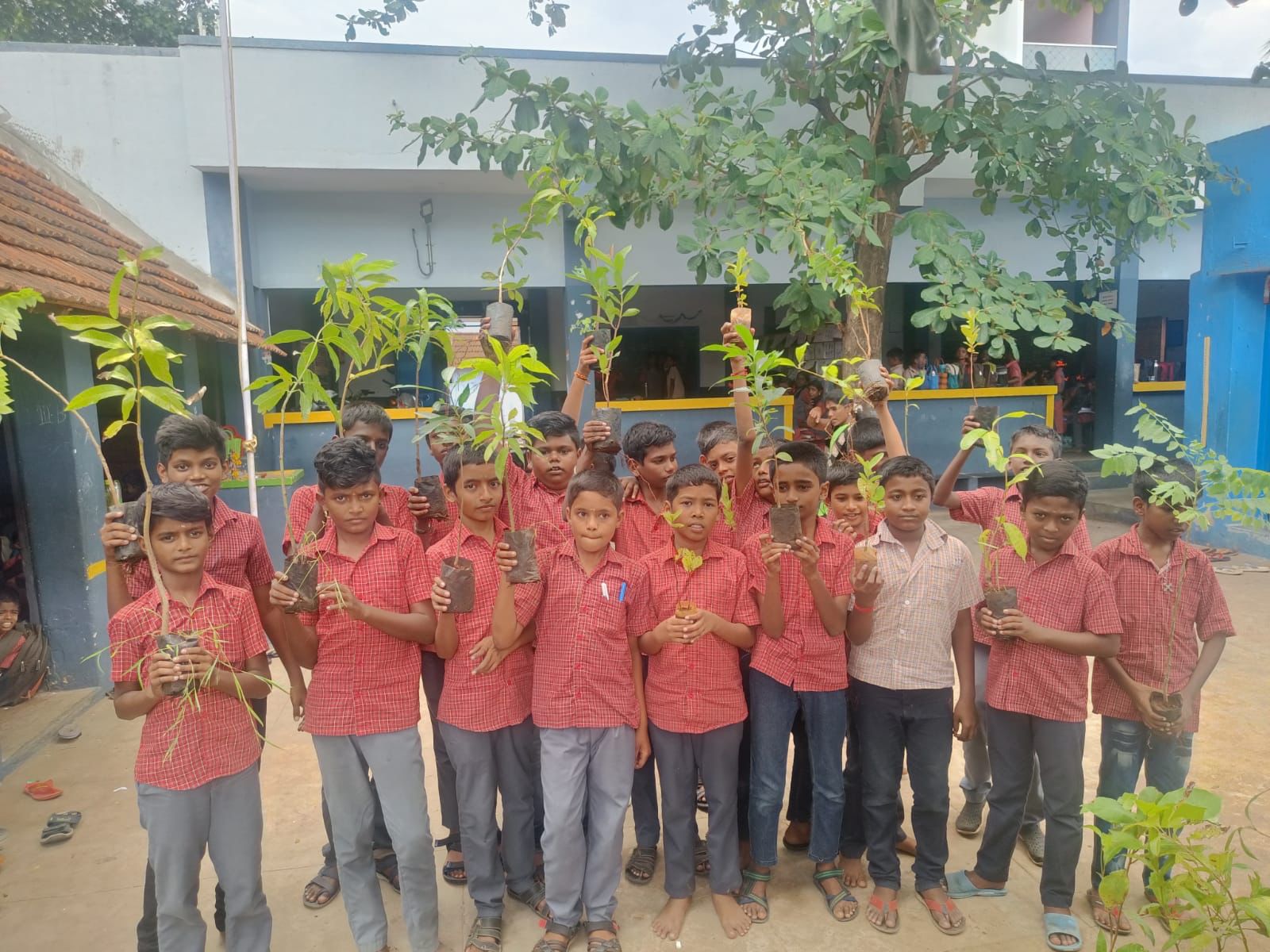 Plantation, Sivasailanatha Middle School, Achanpudur, Tenkasi Dist.