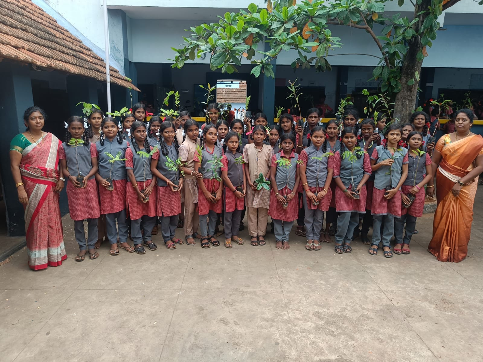 Plantation, Sivasailanatha Middle School, Achanpudur, Tenkasi Dist.